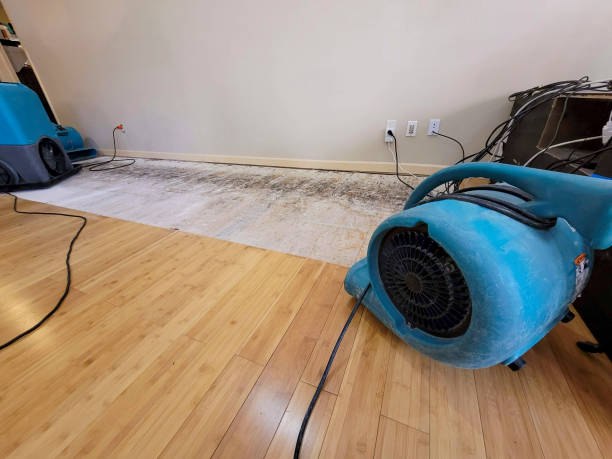 Professional Water Damage Repair technician working in Selma, CA